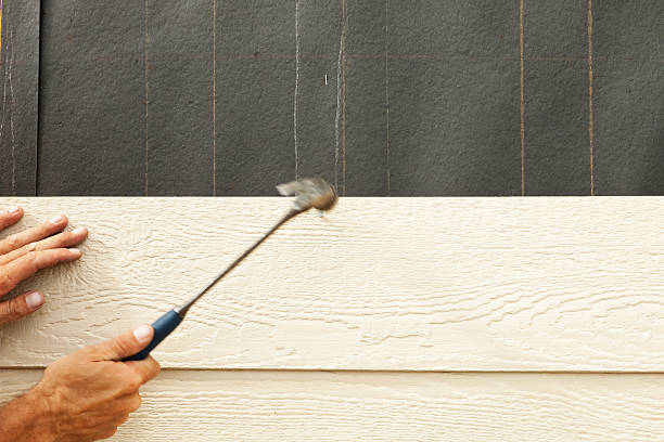 Best Insulated Siding Installation  in Winnemucca, NV